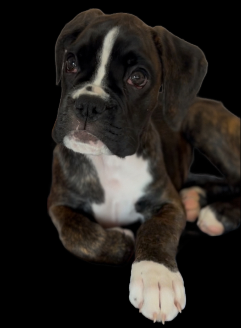 IMG_6588_inPixio (4)